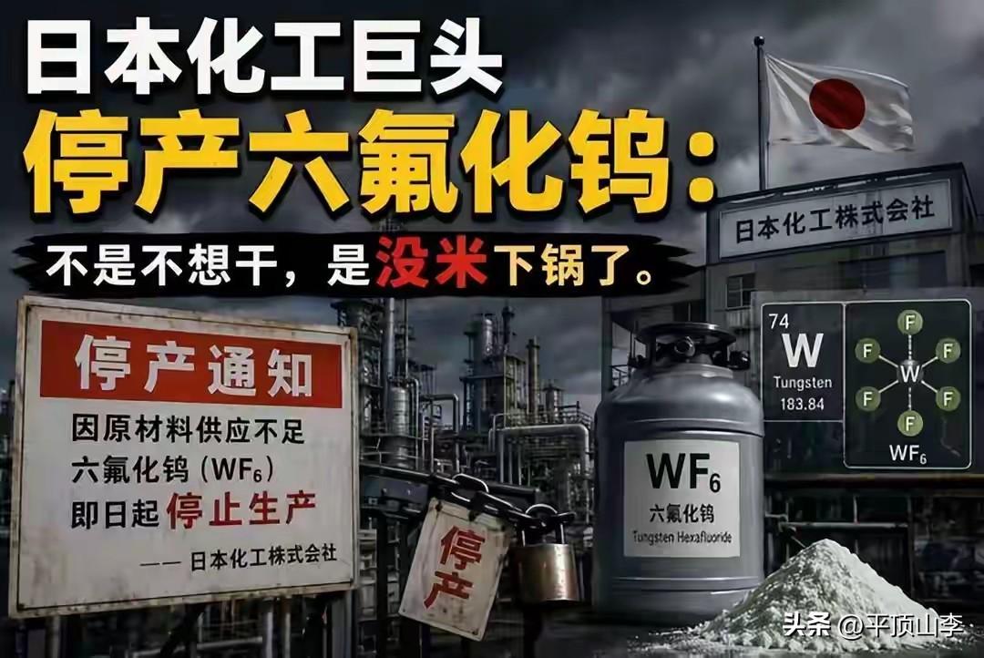 说到钨，你可能先想到的是灯泡里的灯丝。但很多人不知道，它还有个更硬核的身份——“