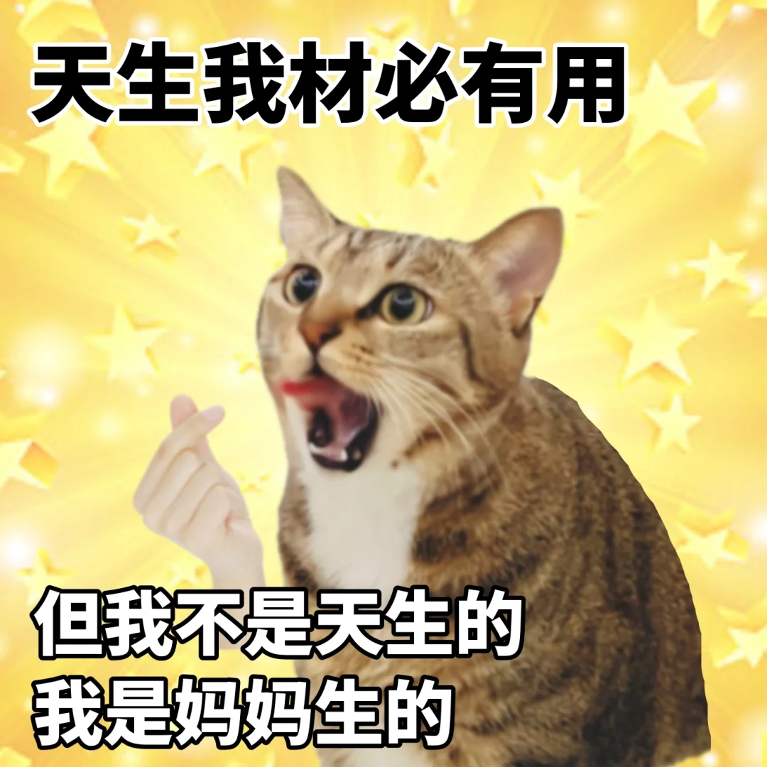 我每天的精神状态表情包