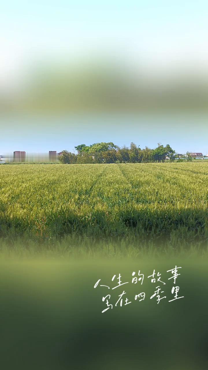 浪漫五月已经抵达，人生的故事写在四季里。愿你一路出发，一路繁华。愿你眼里有光，心