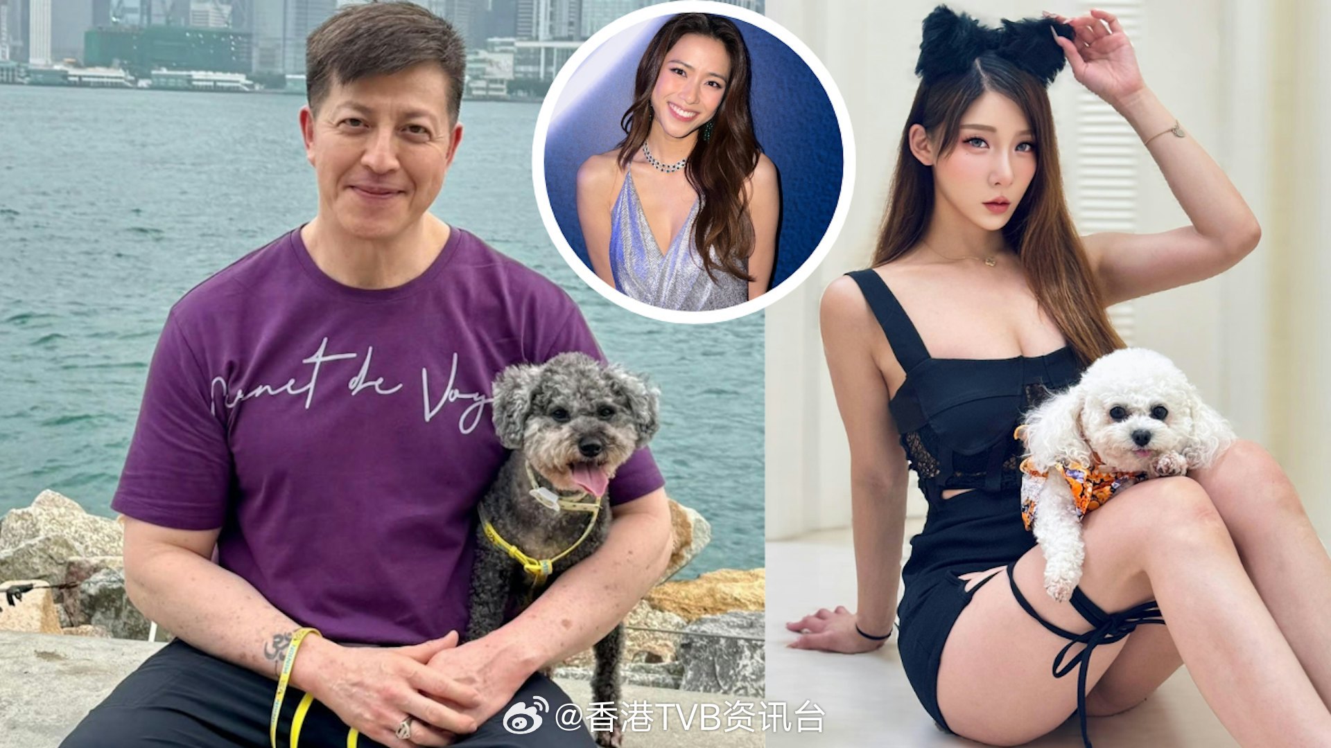 郑健乐把刘颖镟放进精选动态有原因 唐菲突然清空对话：用我宣传郑健乐自从与崔碧珈传