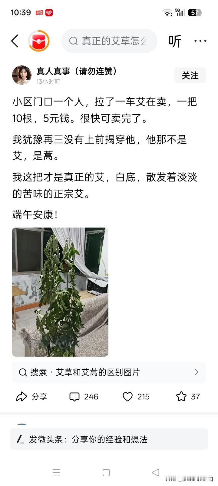 真艾假艾，其实没有什么关系，反正这是人们都建立在暝暝之中的事情，最多就是一个心意