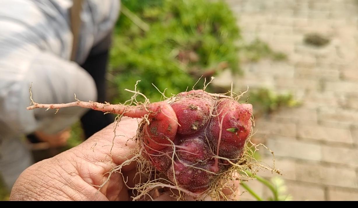 有没有和我一样的朋友，每天坚持发头条拍视频，到头来一天挣不到一葫芦醋钱。
以前我