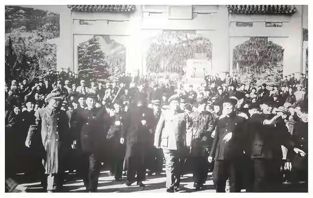 1953年，毛主席登上中山陵突然脸色一沉，指着满山的树问江渭清。

那天是195