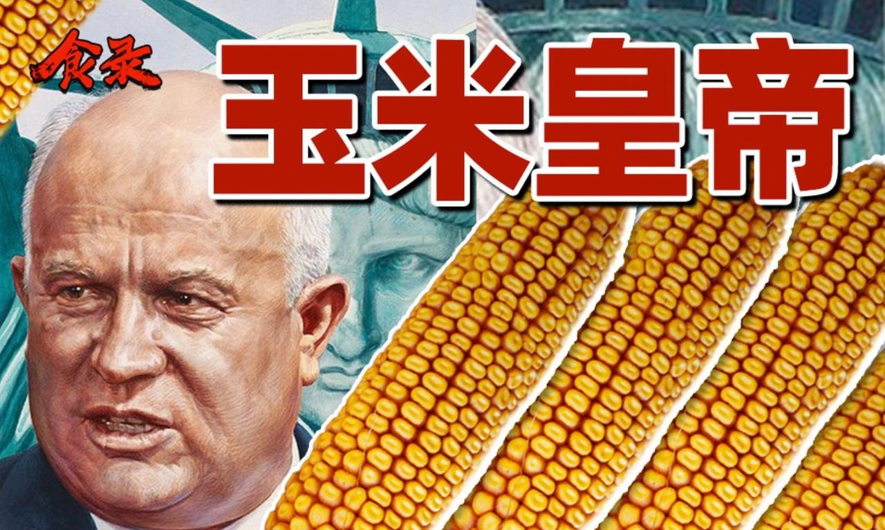 【食录】赫鲁晓夫的玉米事业是怎么失败的？哔哩哔哩动画  ​​​