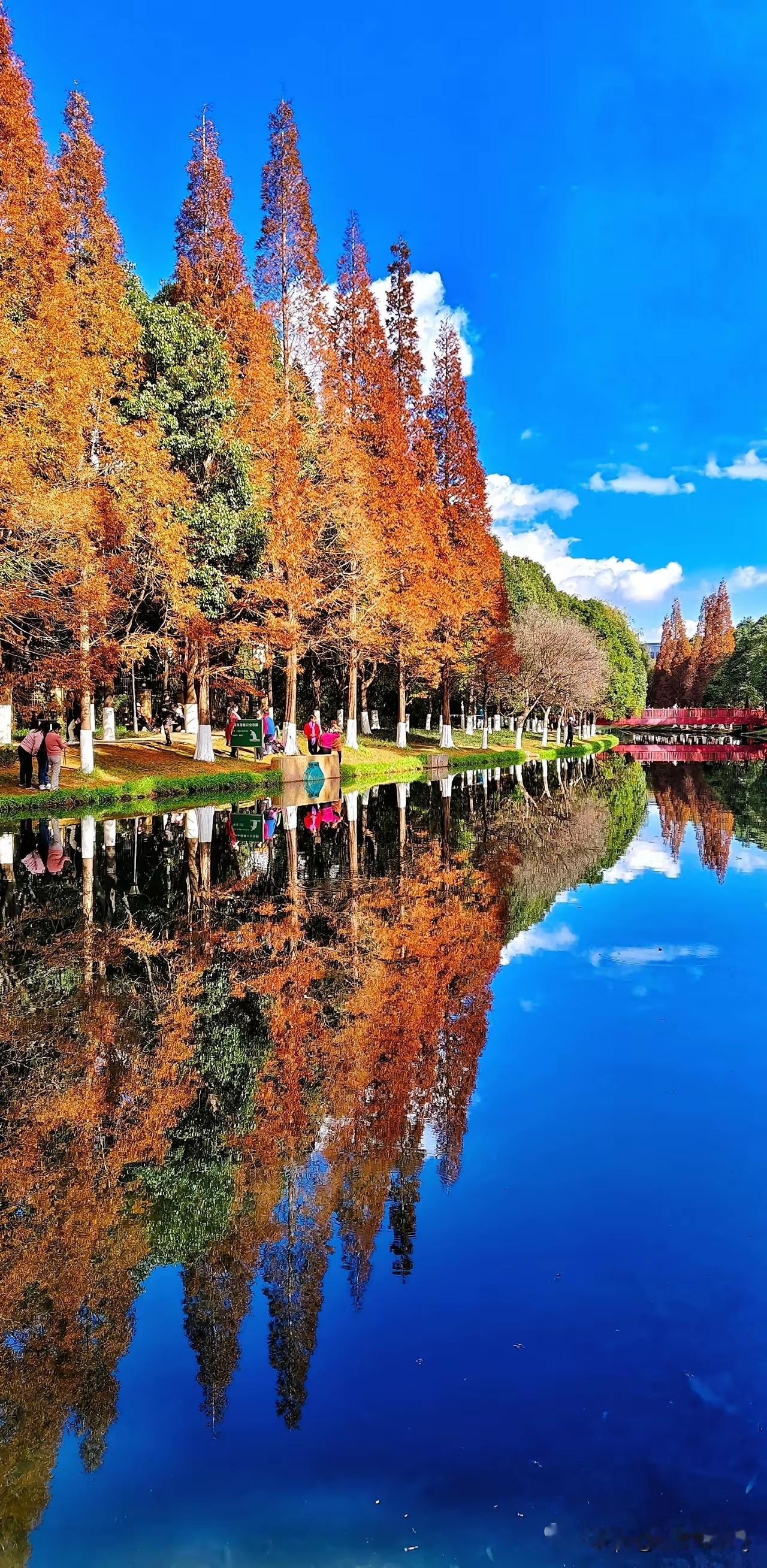 美景自然风光分享