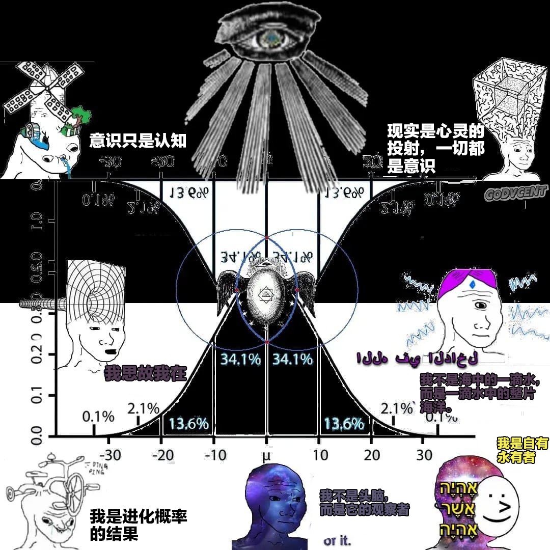 文森特今日最爱 在这叽里呱啦说啥呢 ​​​