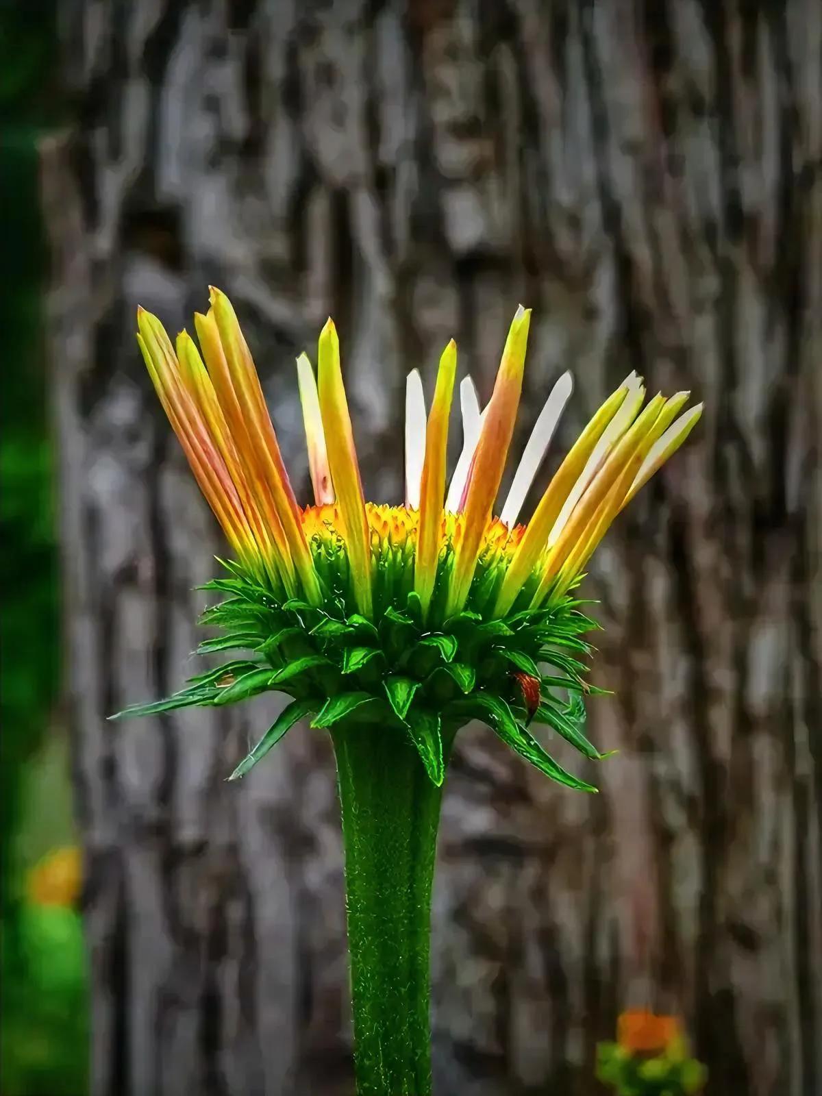 现实生活就像一场冷酷的风暴，世态炎凉，世界并不善良。年少时以为真心能换来真心，可