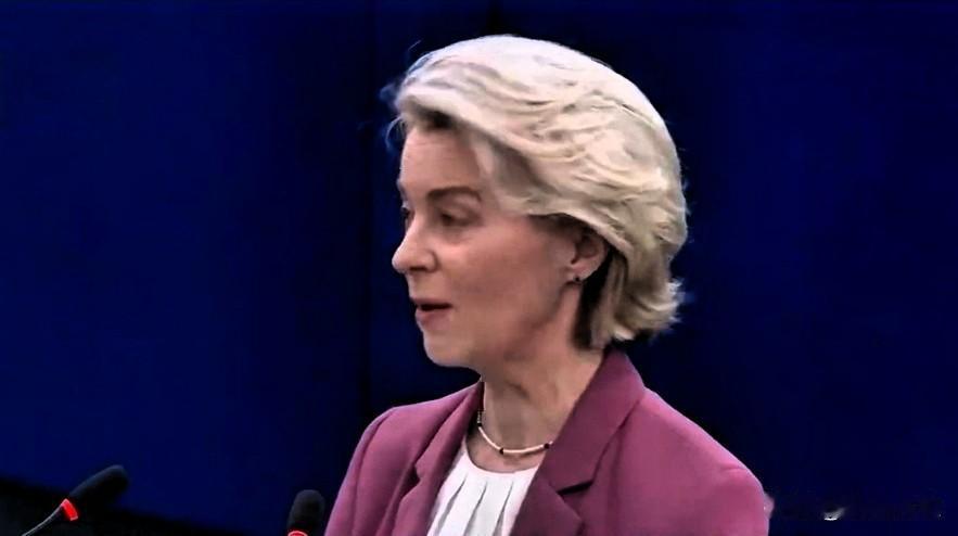 冯德莱恩:“这是欧洲走向独立的时刻，自从我们开始使用‘独立’这一术语以来，许多人