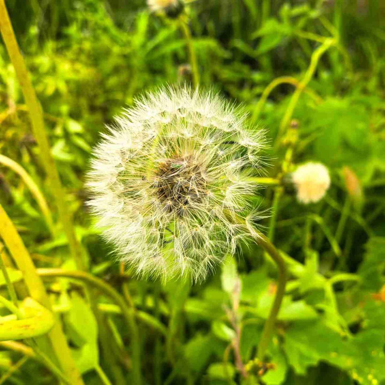 我的今日状态：😁轻松愉快
我这里的天气：☀️晴天