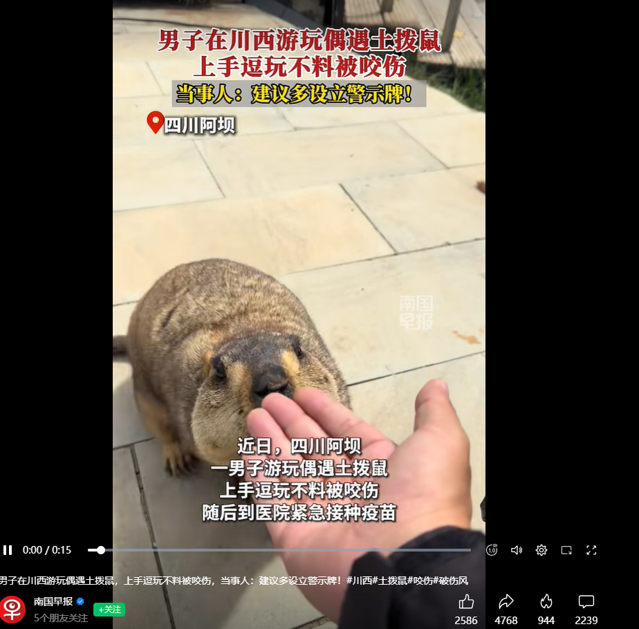 这几十年全世界的媒体、学校，都是把动物描绘得很可爱、很友善、拟人化，导致很多认知