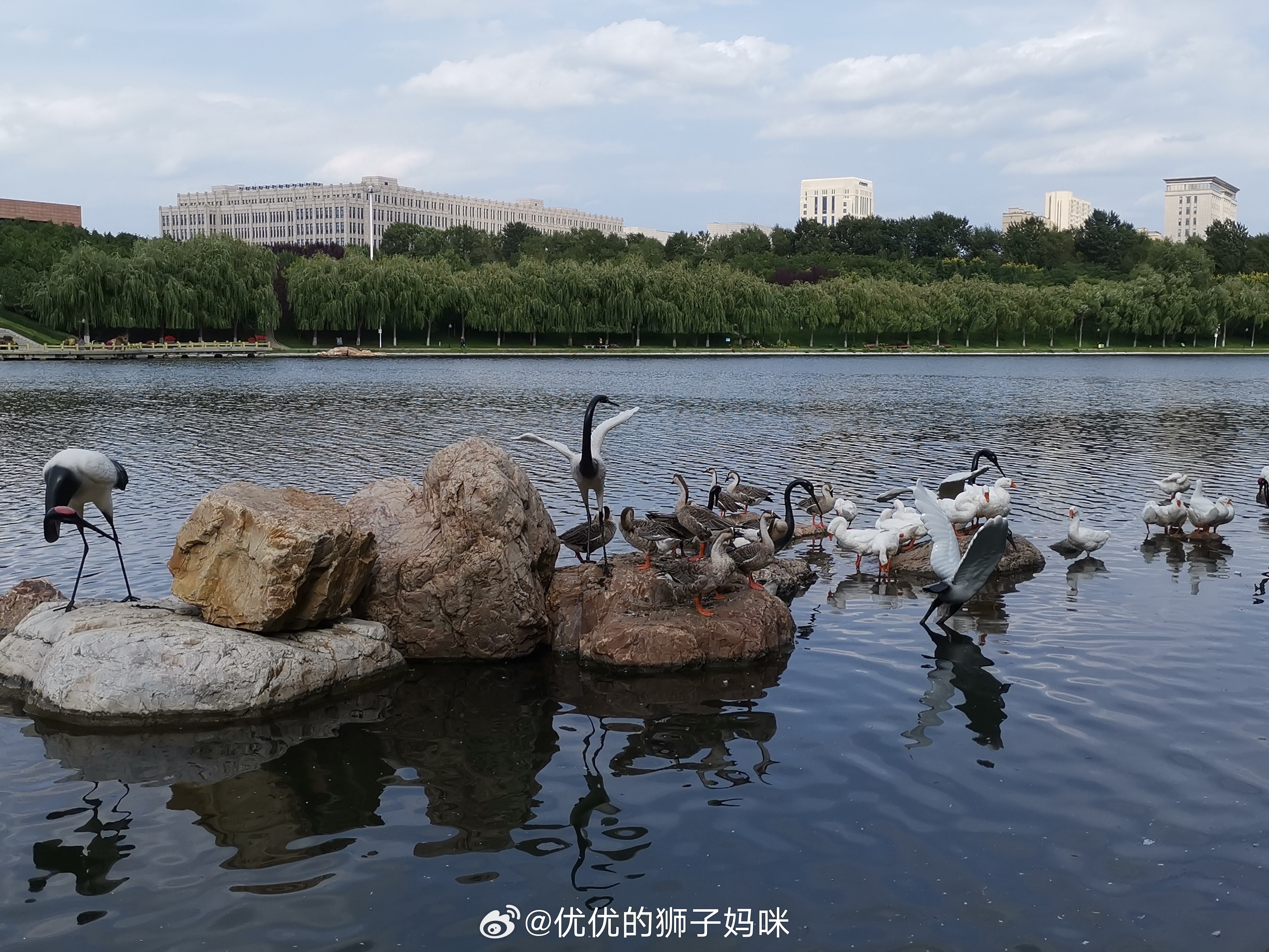 早安，新的一天，最近一直在下雨，想出去徒步、露营都没实现，希望周末能是个好天气！