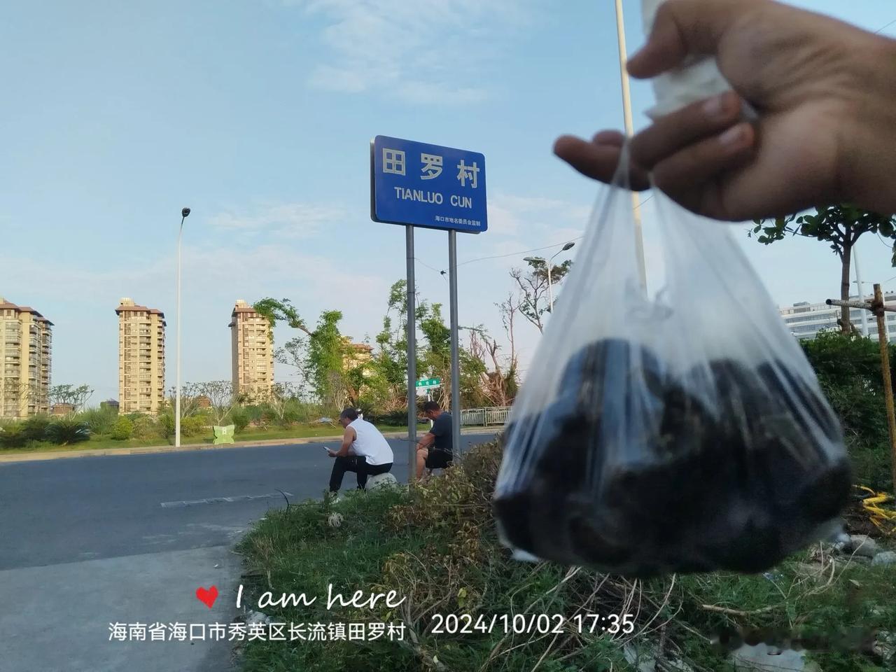 叶生买菜记
田罗村牌的旁边（长北路）有个卖菜大姐，我问是本村现种的么？然后问价，