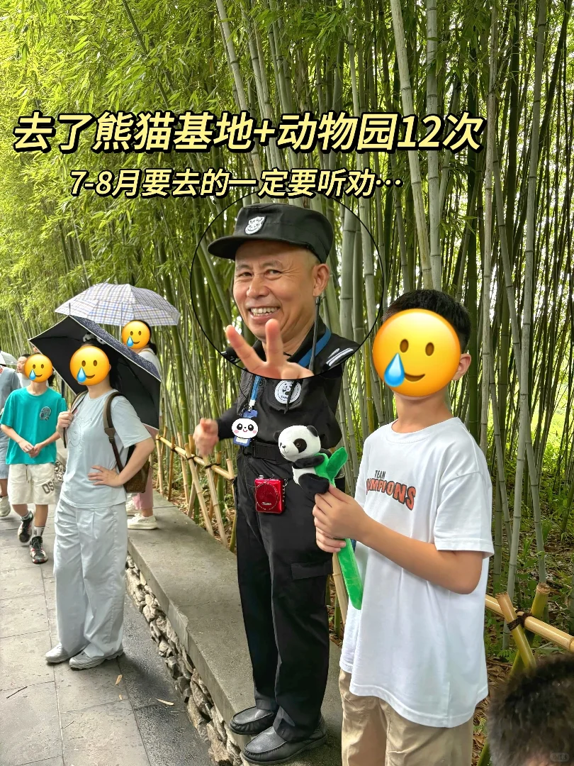 熬夜吐血整理的熊猫基地VS成都动物园攻略