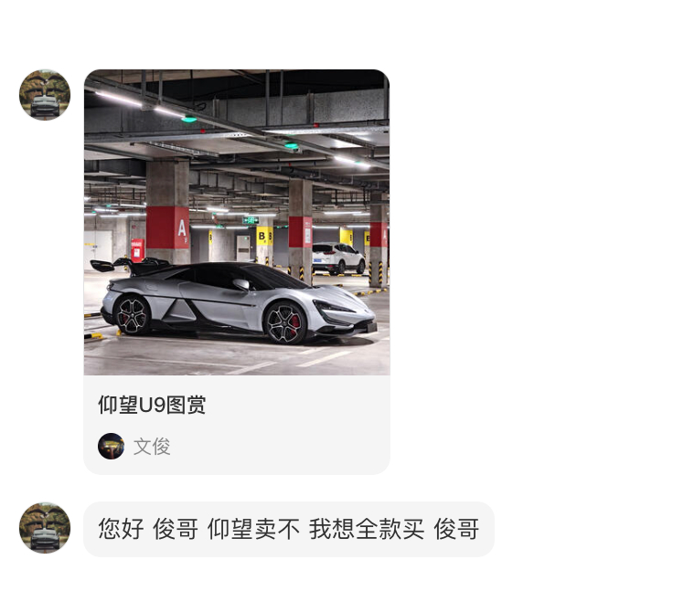 统一回复：我首页置顶的那辆仰望U9，不卖。因为U9就不是我的。 