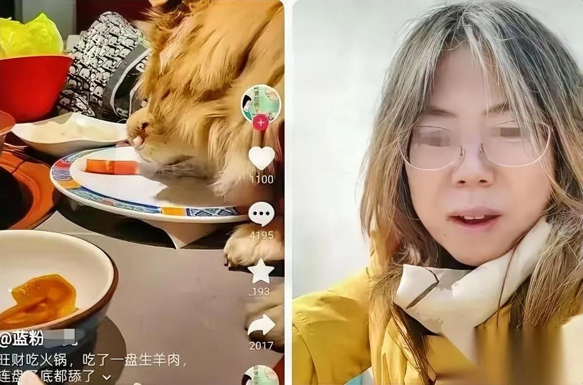 狗姐刷屏了！

背后竟牵出饭店停业…

北京某涮肉店因"狗姐"带狗同食被查，停业