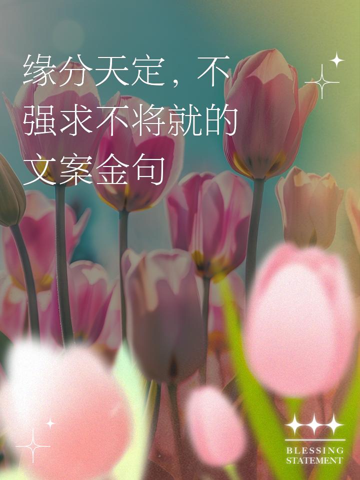 强求的缘分，从来都不是良缘
 
你是不是还在为走散的人彻夜难眠？总想着再续前缘，