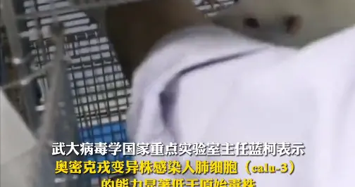 奥密克戎毒性是否更低？对人的危害是否小于原株？实验室结果出炉