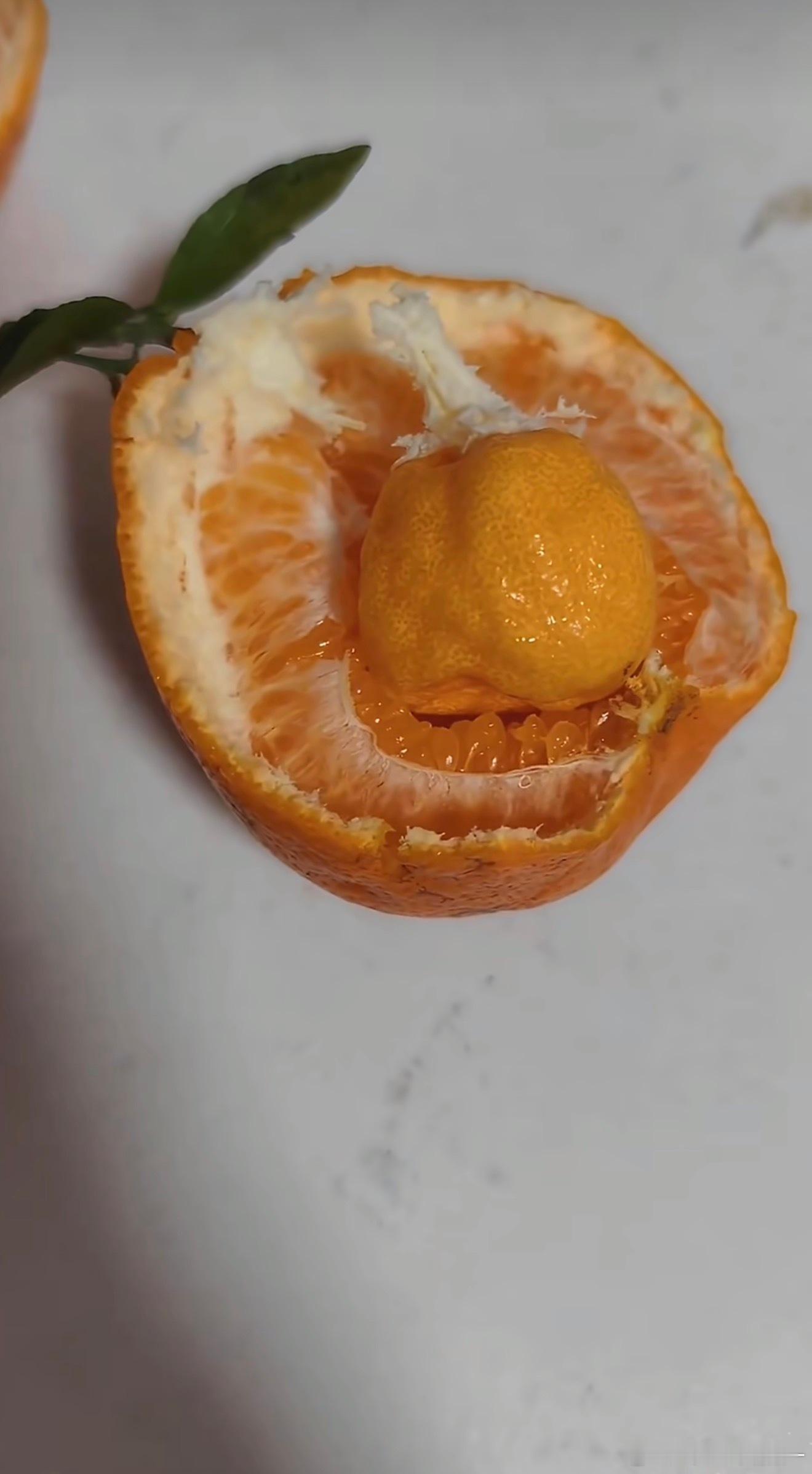 第一次见到怀孕的耙耙柑      哈哈 长见识了 现在的东西都变异了 