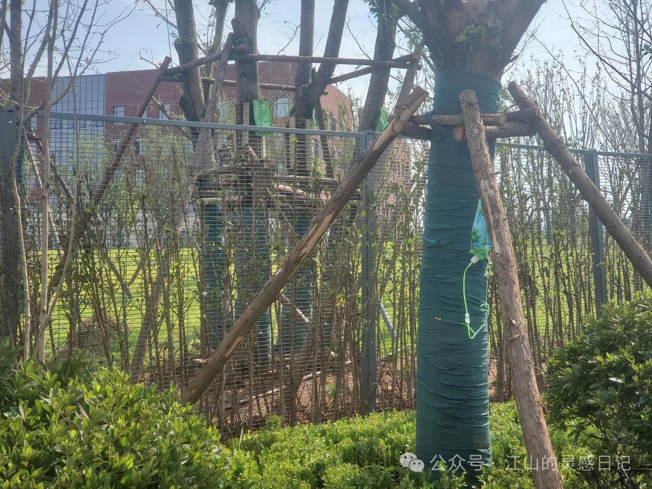 湖南大学新校区建“围墙”了。
湖南大学老校区以没有围墙的开放式管理方式被网友津津