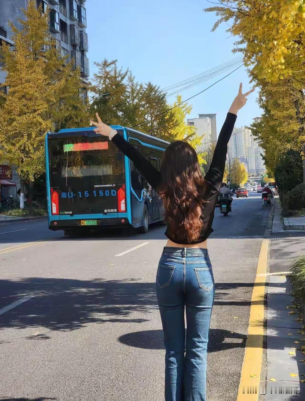 昨夜清霜冷絮裯，纷纷红叶满阶头。