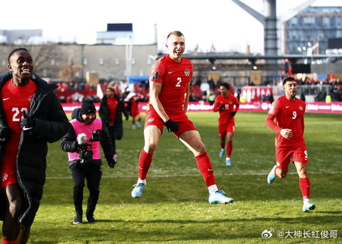 世界杯 南非VS加拿大  世界杯 1/16 决赛，南非对阵加拿大，不少人被加拿大