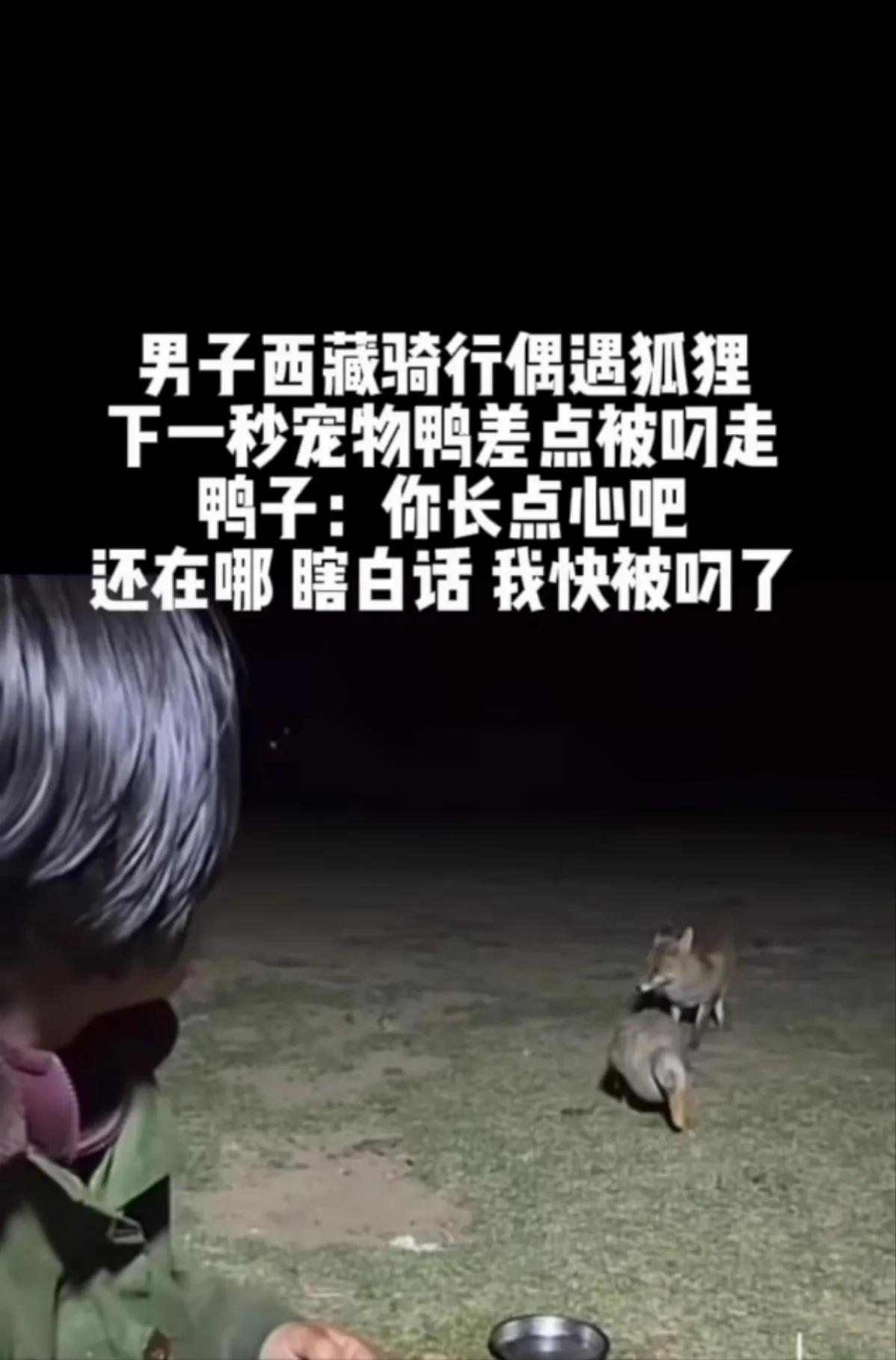 一身穿军绿色上衣的男子，在西藏骑行，天色已晚 ，西藏的夜晚很冷，男子穿了二件厚厚