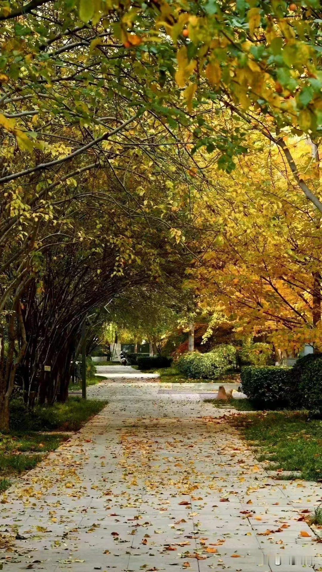 人和人的交往中，有些话不能说，有些话不必说，有些话不多说。

知人不评人，知事不