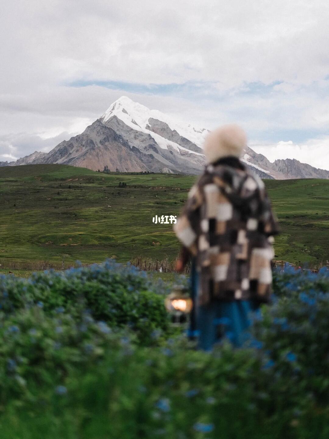 2023，我被世界小小欢迎了一下，你们呢？