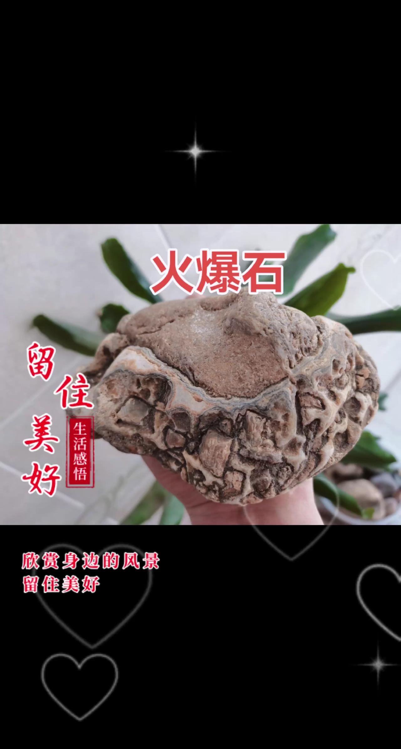 奇石欣赏 以石会友