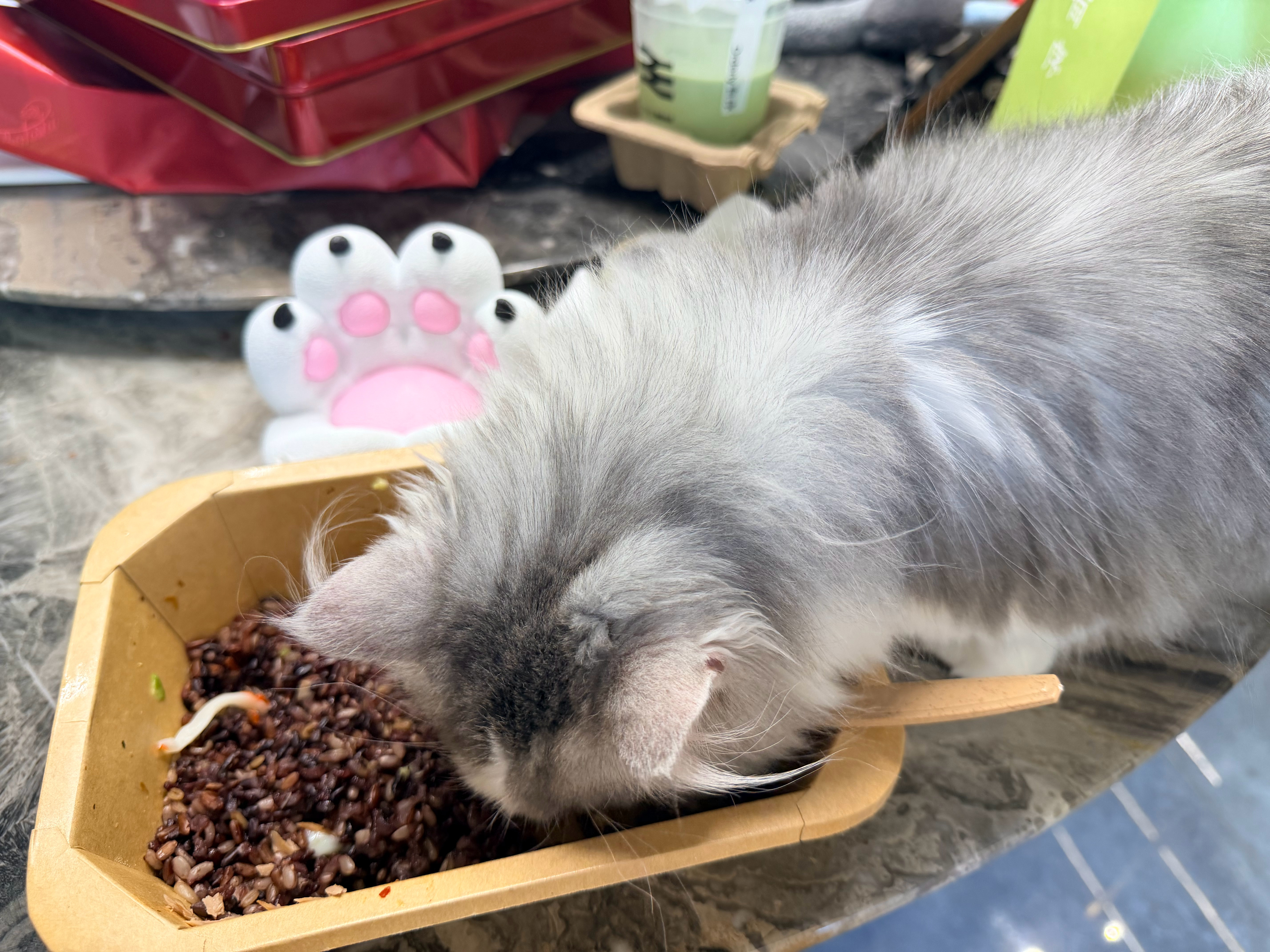减脂餐也吃啊…..太馋了 