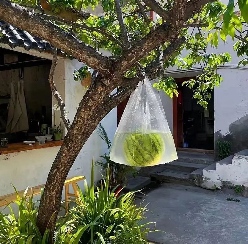 人生四只🦆：“加油鸭，幸福鸭，好运鸭，暴富鸭 ☺︎☺︎☺︎” ​​​