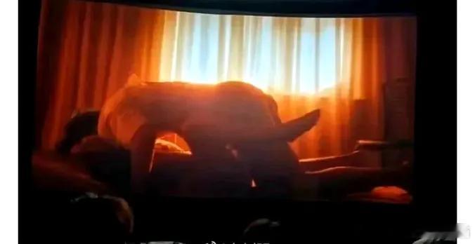 这部朱一龙的新电影太火爆了吧！简直是为了艺术不顾一切！有没有人敢看？这画面也太惊