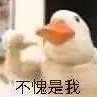 芒果酱热品娱乐