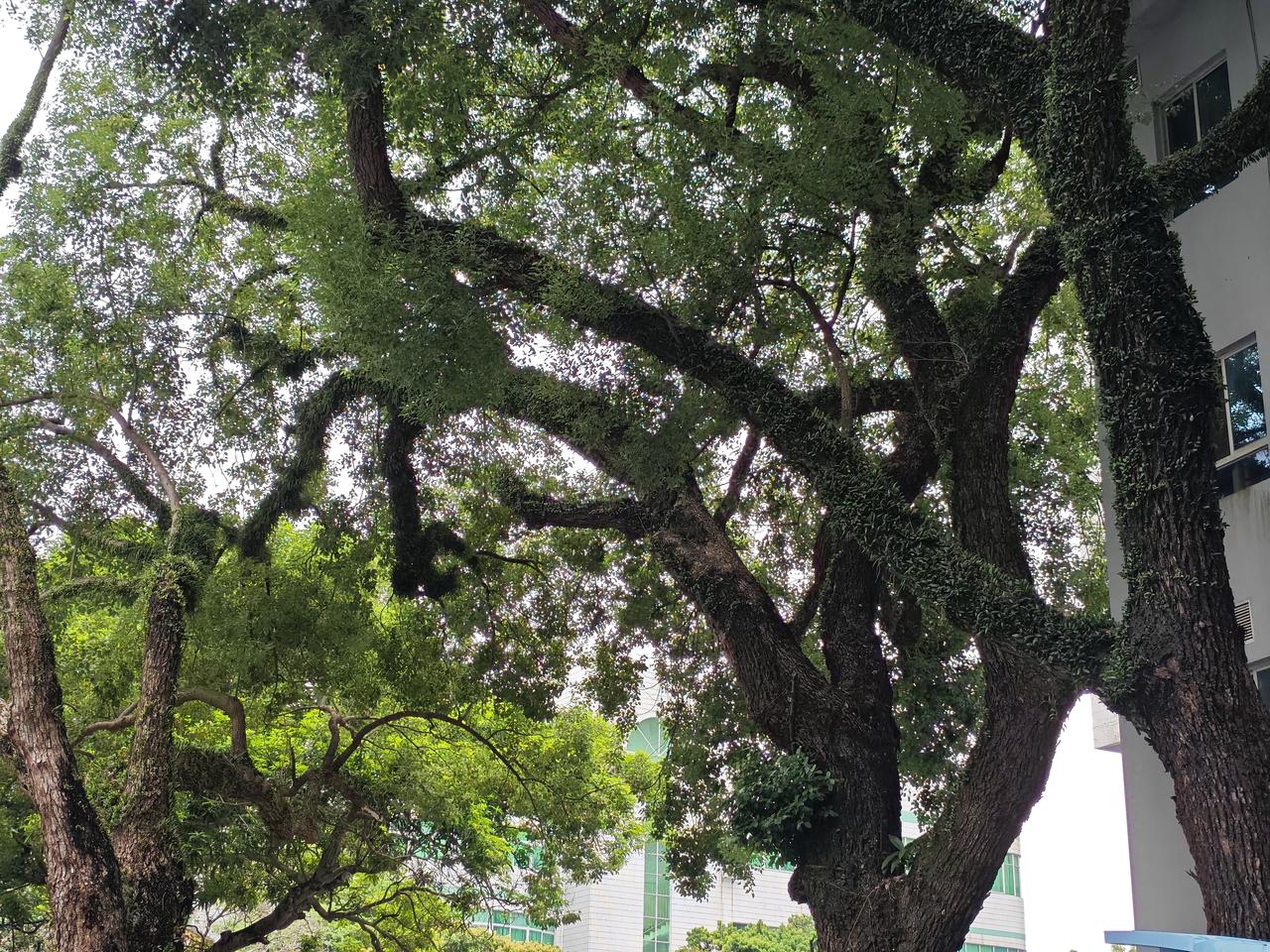 我家楼下老杨家的日子，你瞅瞅，邪性。一家三口，没一个上班的。

老杨，五十五，以