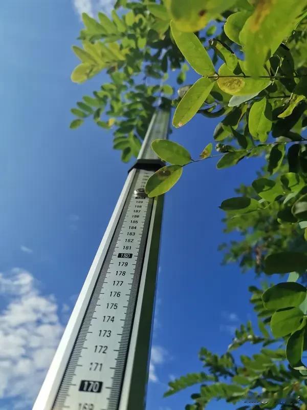 各地情况可能有所不同。
我们是评上就进七级，但手续可能拖延，但一年内能办好，调资