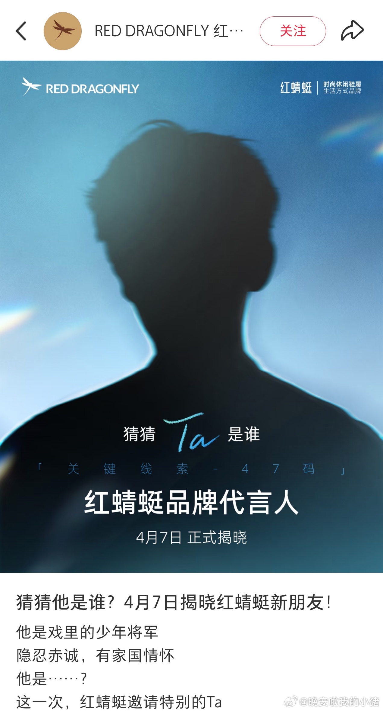 陈飞宇红蜻蜓品牌代言人预热了