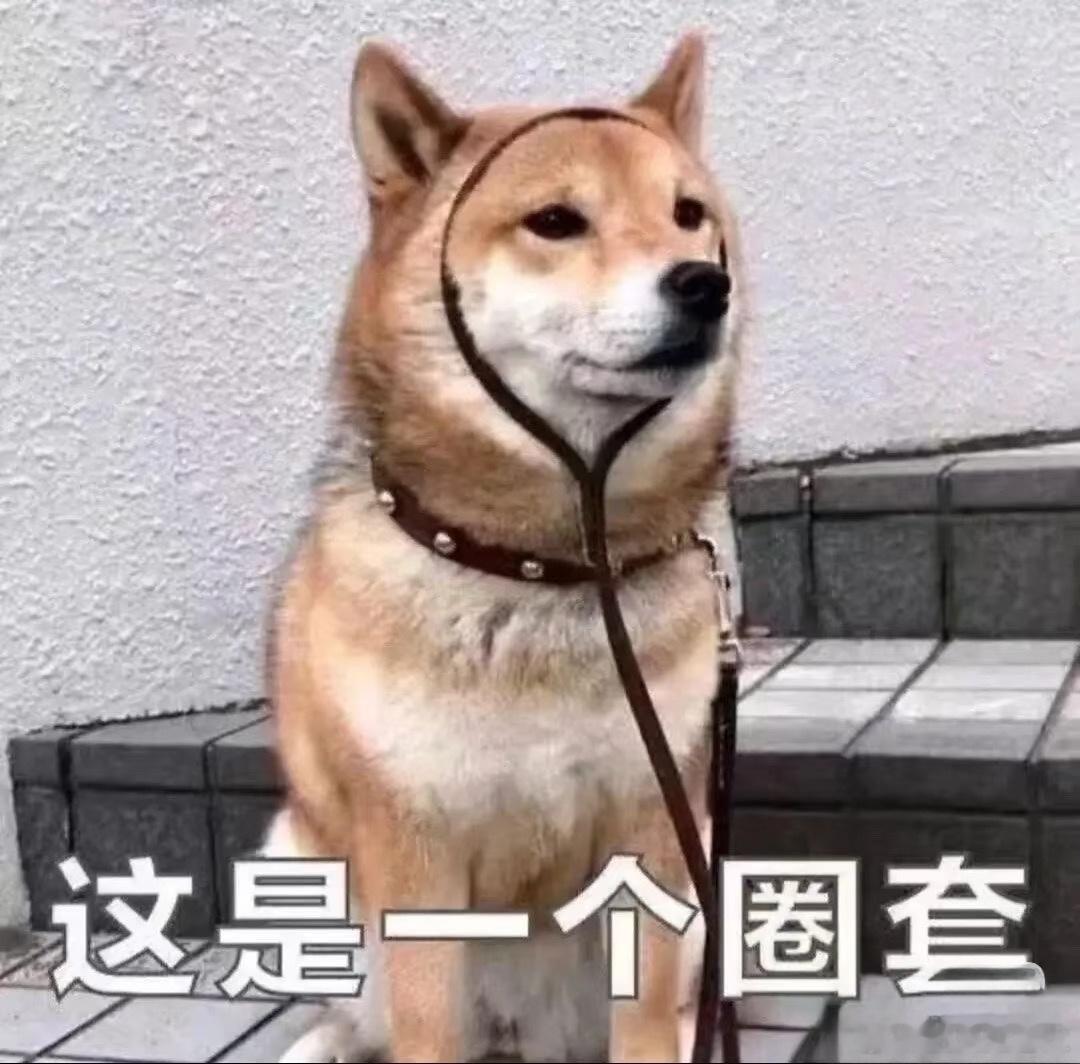 更新了，看不到铁几了，没有安全感，能不能来我这儿留下你的印记，我也会去你那儿的 