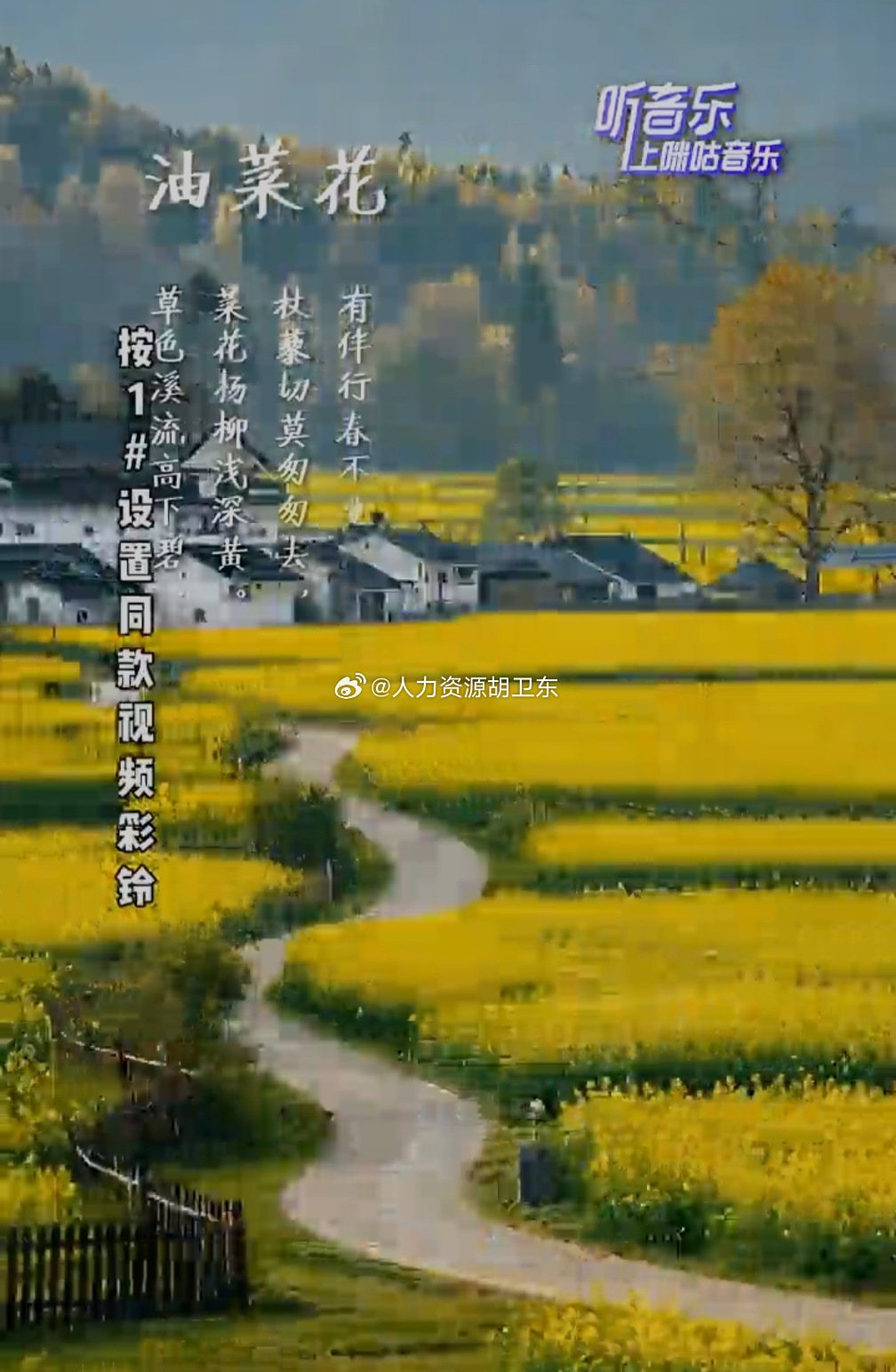 分享图片 