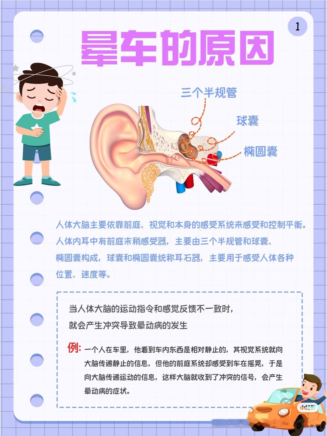 终于知道为什么会晕车了总算搞懂晕车原因了！真不是体质差，身体感官不协调才难受。看