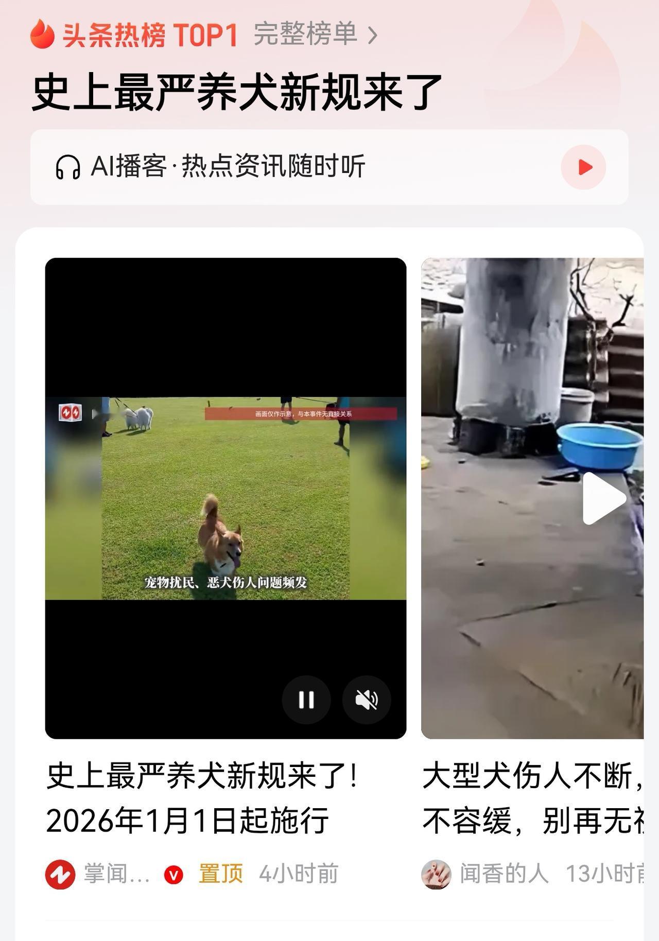 根据世上最严养犬新规来看，“史上最严”犬规背后，是一代人情感结构的变迁。

20