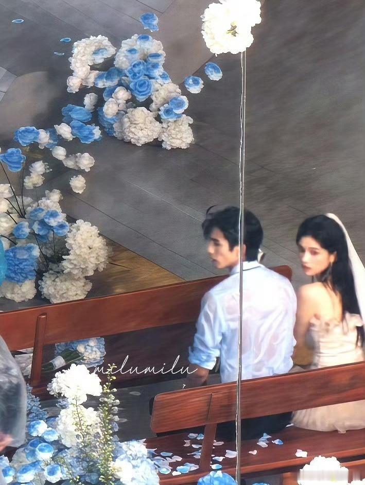 野狗骨头期待张婧仪 期待宋威龙 