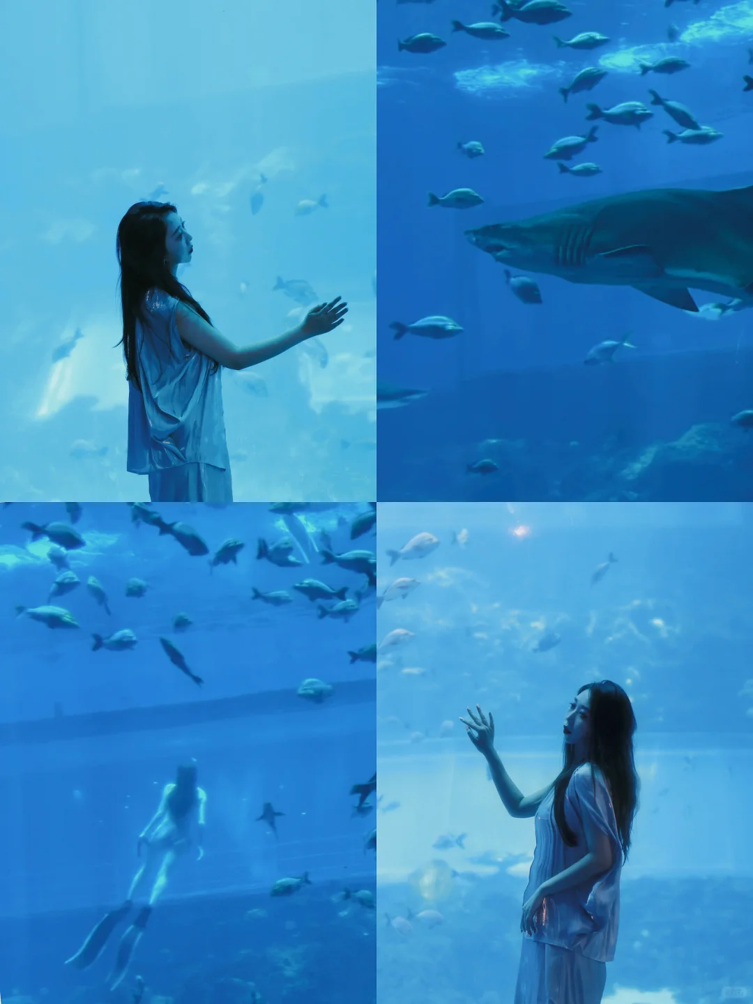 海底世界——治愈的蓝🔵