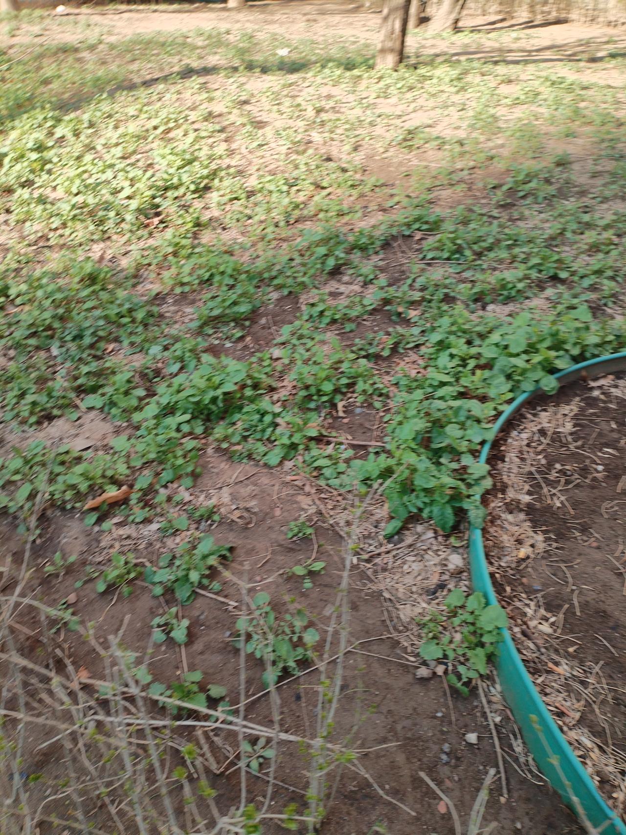 生命的本质是什么本质就是活着，并尽量活得好——健康、关系、有意义的工作、内心的平