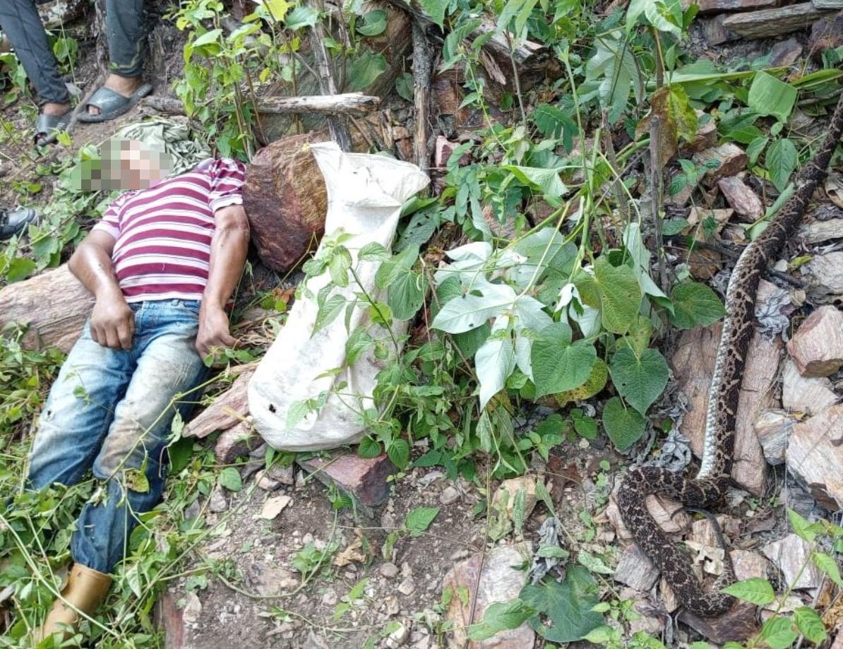 11月22日（上周六）在委内瑞拉特鲁希略州图库图库市一名老人被一条名为“马帕纳雷