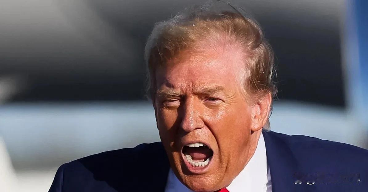 最新消息｜特朗普警告加拿大若对华开放门户，将被“关税长城”彻底封杀



美国总