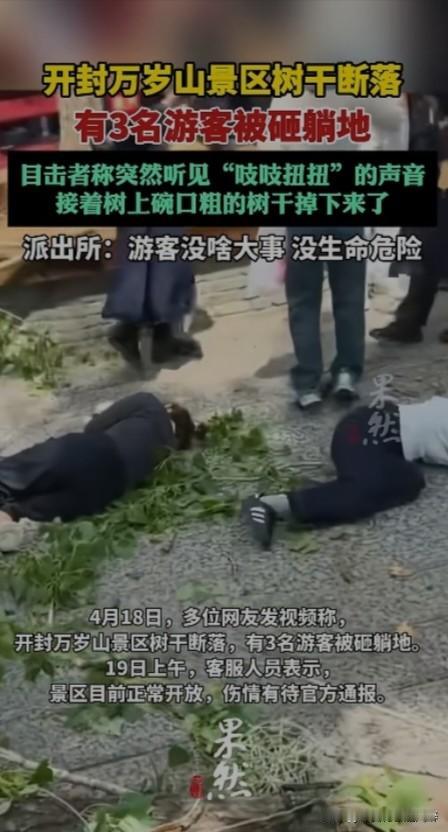多人受伤
4月18日河南万岁山景区树干倒塌掉落，砸伤3名游客，景区工作人员及周围