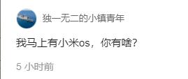 多米粉多澎湃OS期待值非常高，在这里理性分析一波，现在的主流手机厂商系统，苹果i