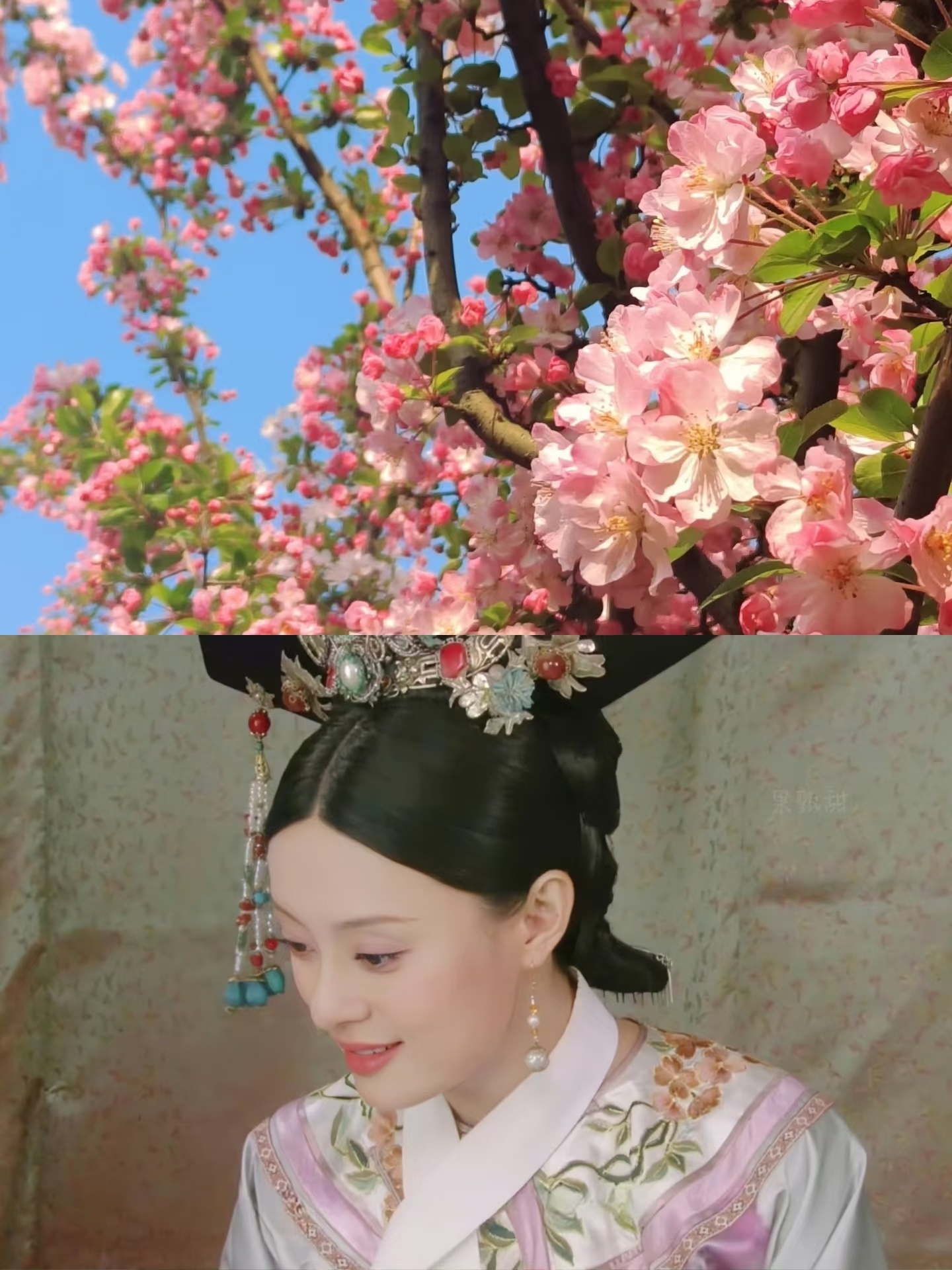 原来《甄嬛传》的娘娘们，每个人都对应着一朵花啊 