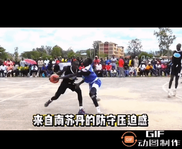 哪里人？有手机屏都快容不下了。分明是一群电线杆[捂脸]