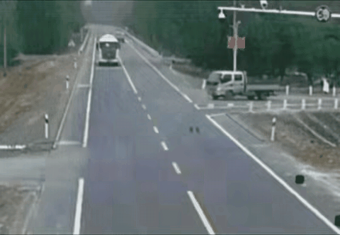 卡车停一下是什么意思呢？如果加速开走，这场事故可能会避免